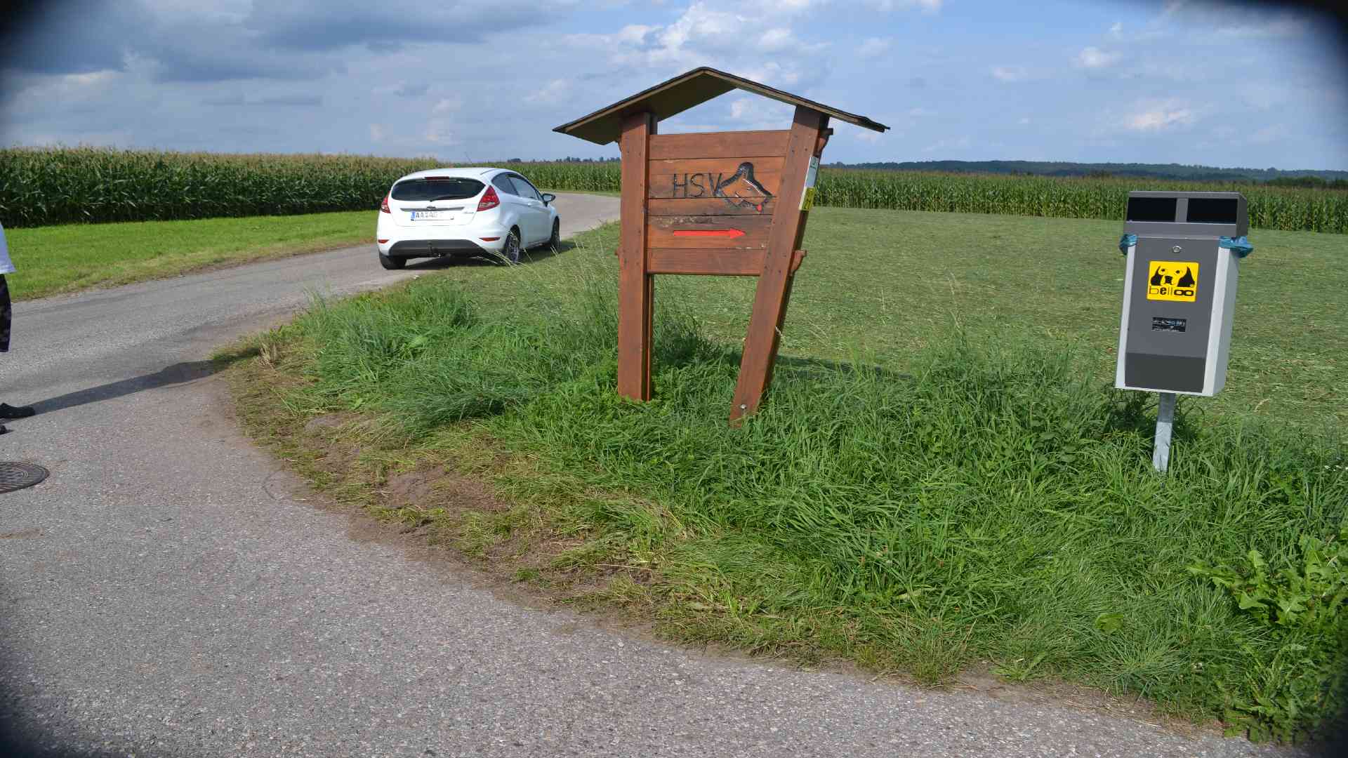 Bild Bildersuchfahrt